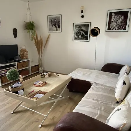 Apartment Renove Au Calme Pres De La Avec Wifi Et Parking Prive - Fr-1-750-115 *